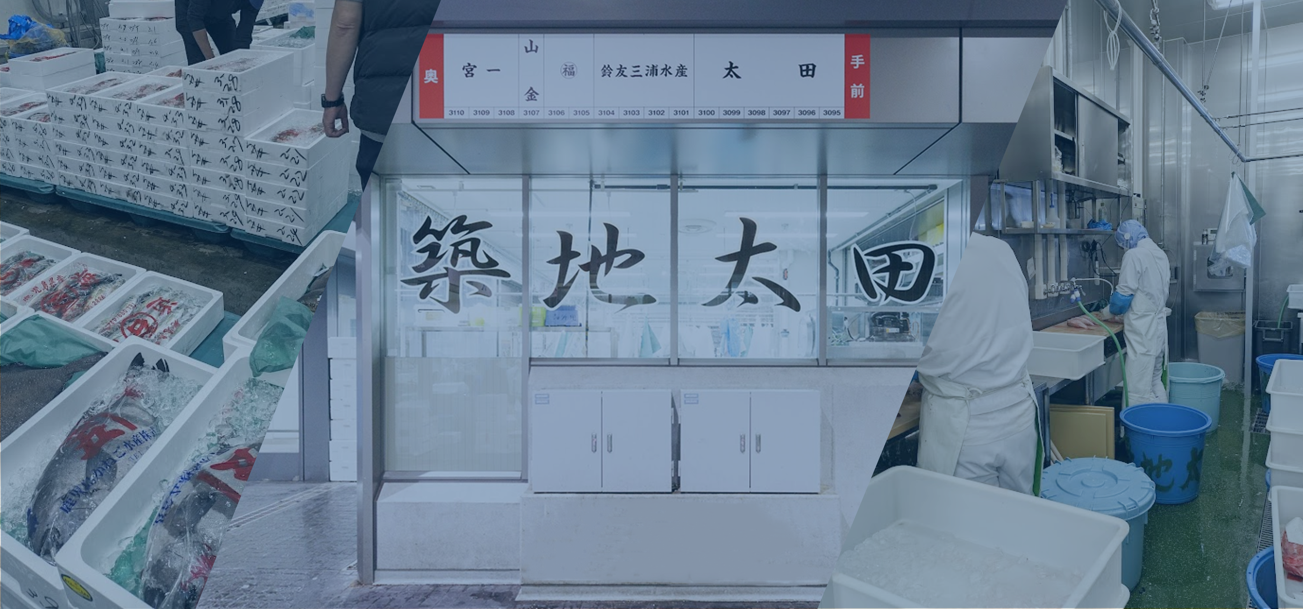 背景画像